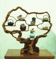 陽泉市石建華根式木業