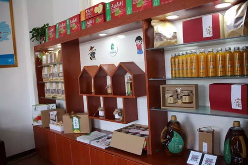 縣農發公司采取 六抓 措施推動工作開展