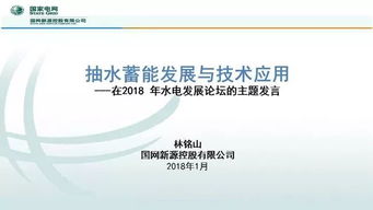 抽水蓄能發(fā)展及技術(shù)創(chuàng)新——基于國網(wǎng)新源林銘山專家報(bào)告的解讀